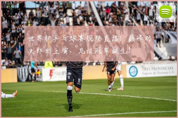 世界杯乒乓球赛现场直播：巅峰对决即刻上演，见证冠军诞生！