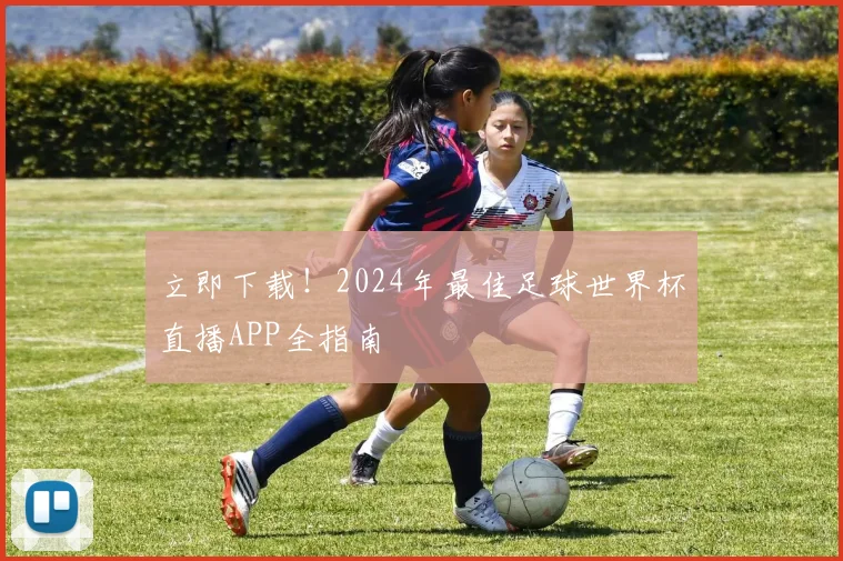立即下载!2024年最佳足球世界杯直播APP全指南