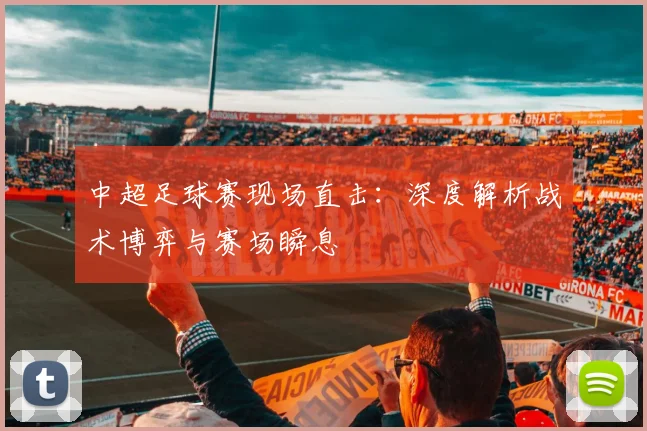 中超足球赛现场直击：深度解析战术博弈与赛场瞬息